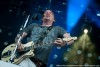The Dandy Warhols thumbnail
