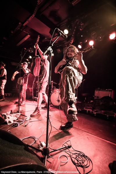 Hayseed Dixie