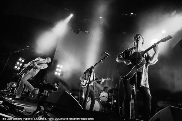 The Last Shadow Puppets