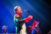 The Divine Comedy thumbnail
